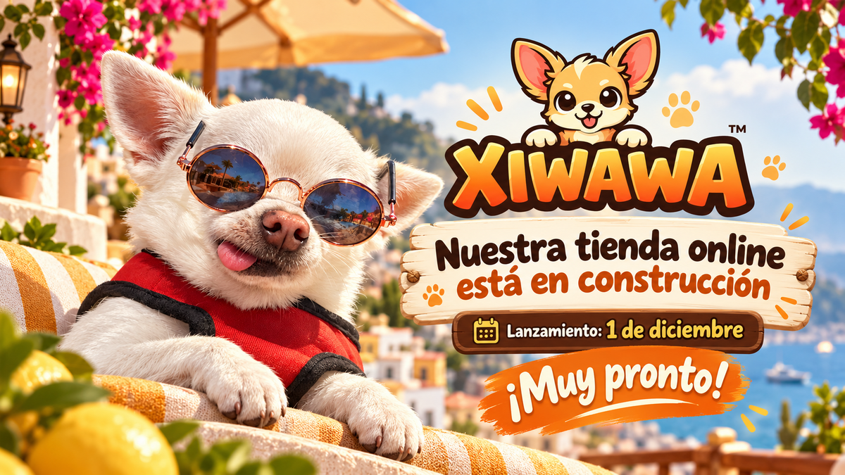 XIWAWA™: nuestro chihuahua con gafas anuncia la apertura de la tienda online el 1 de diciembre
